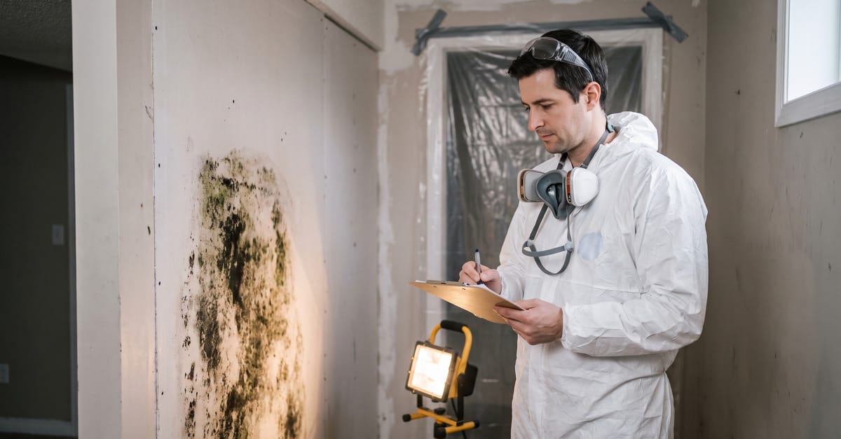 Mold Remediation Marketing: How to Get More Jobs